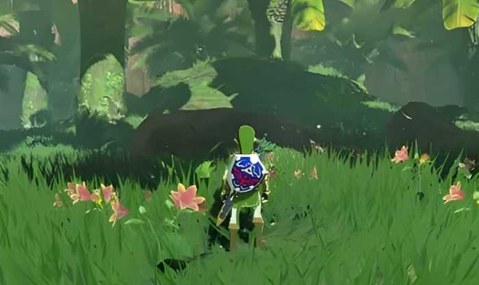 旷野之息怎么制作精力药水1