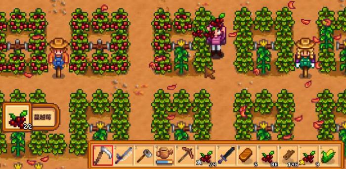 星露谷物语秋天种什么最值钱2