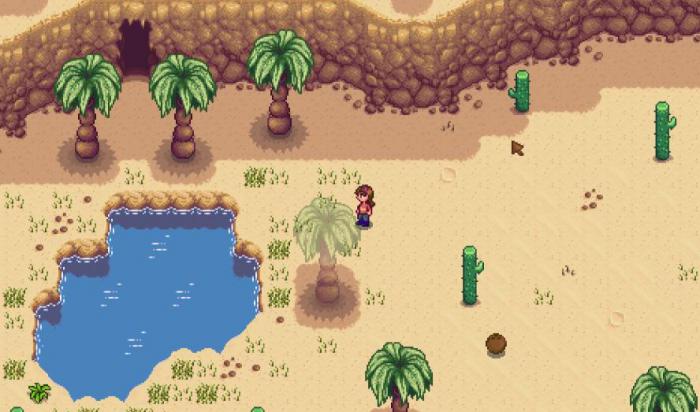 星露谷物语沙漠在哪里1