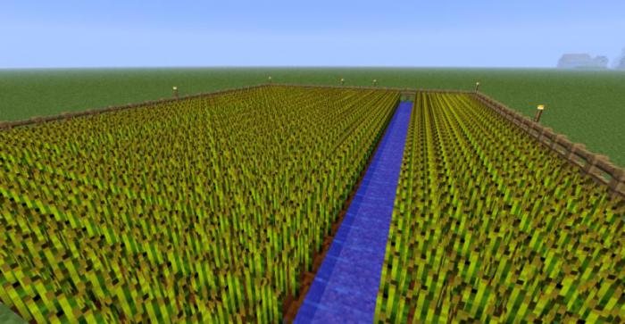 我的世界有哪些农作物_我的世界农作物的作用 我的世界有哪些农作物_我的世界农作物的作用