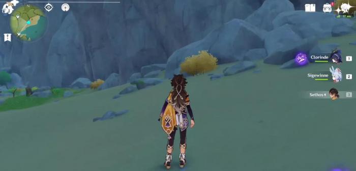 原神赛索斯怎么样4