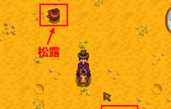 星露谷物语松露油怎么制作_星露谷物语松露油能买吗?