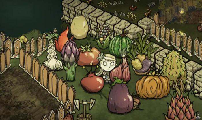 饥荒种地攻略教程是什么3