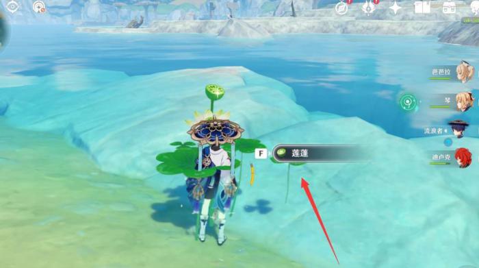 原神什么地方有莲蓬3