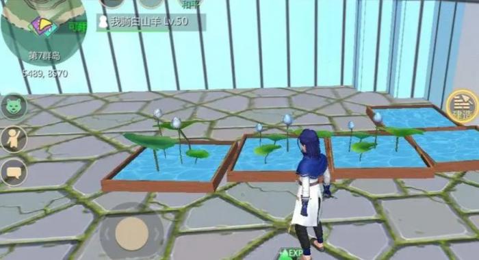 创造与魔法莲子羊汤配方怎么制作3