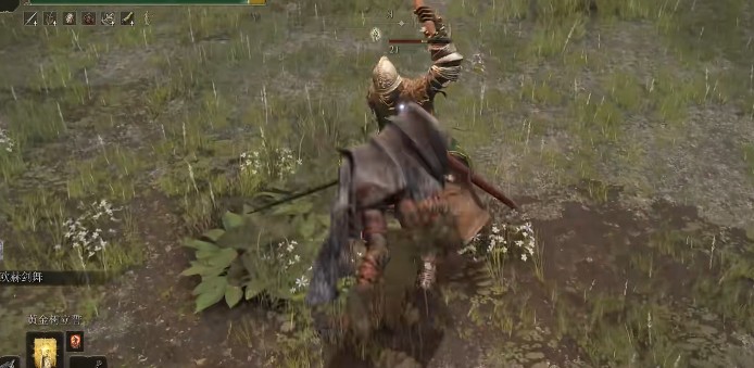 艾尔登法环有着特殊效果的套装有哪些_艾尔登法环定价