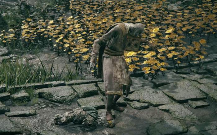 艾尔登法环击败葛托克有什么后果_艾尔登法环葛托克支线