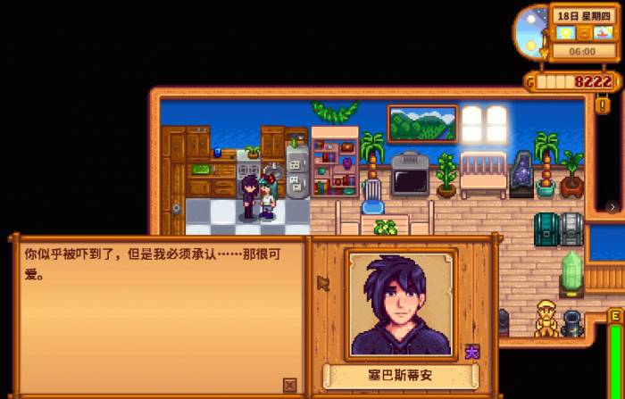 星露谷物语塞巴斯蒂安喜好礼品有哪些2