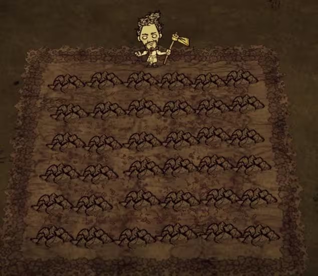 饥荒联机版耕种流程是怎样的1