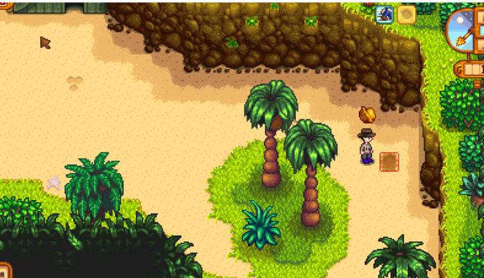 星露谷物语姜岛核桃如何全收集1