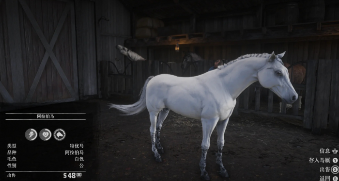 荒野大镖客2稀有马匹怎么驯服1