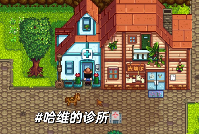 星露谷物语哈维诊所和绿洲有什么_星露谷物语哈维医生喜欢什么