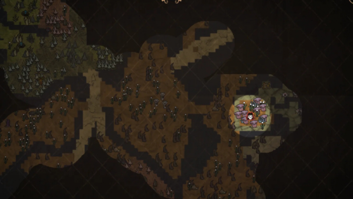 饥荒薇诺娜怎么探图建造2