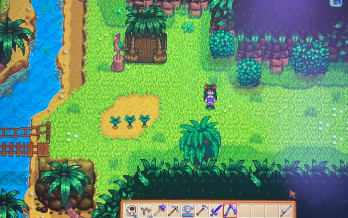 星露谷物语姜岛怎么玩2