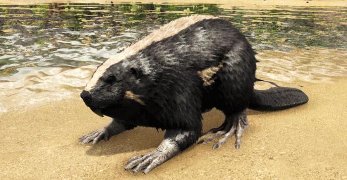 方舟生存进化巨河狸怎么驯服2