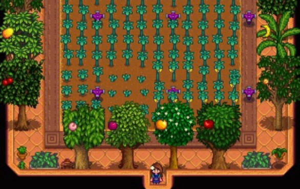 星露谷物语果树有哪些特性_星露谷物语联机版