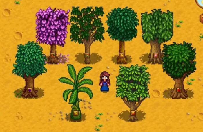 星露谷物语果树有哪些特性2