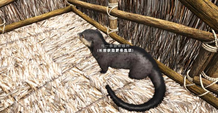 方舟生存进化水獭怎么驯服_方舟生存进化水獭吃什么