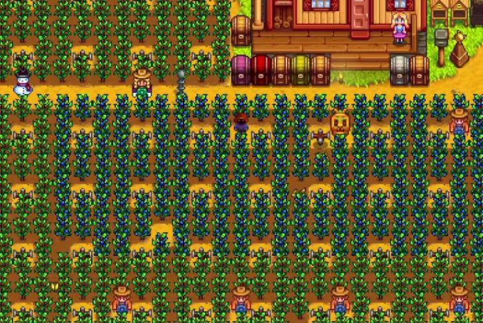 星露谷物语蓝莓的收益怎么样1