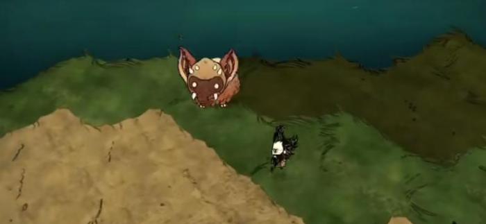 饥荒考拉象怎么圈养2