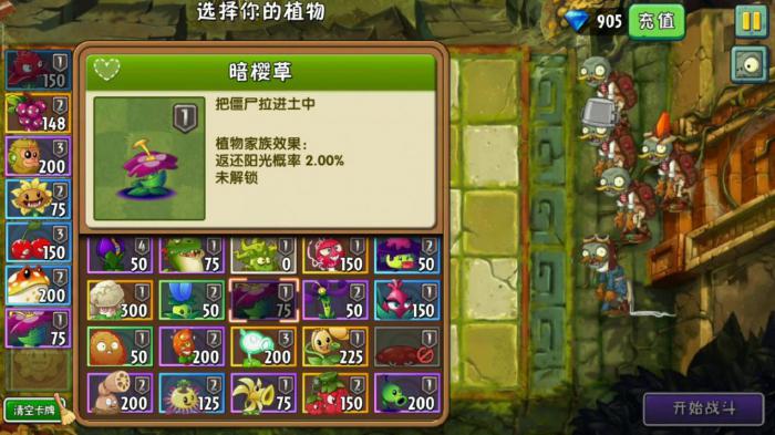 植物大战僵尸2暗樱草怎么样1