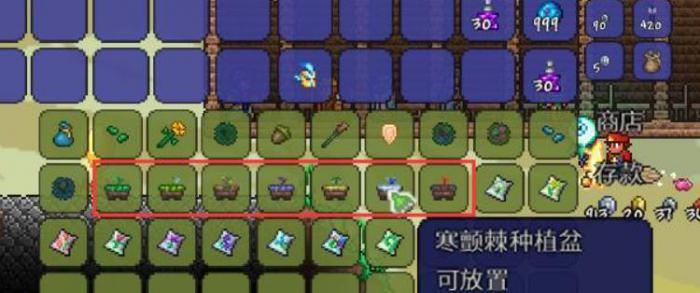 泰拉瑞亚种植盆怎么用1