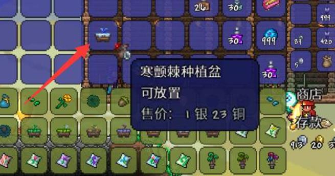 泰拉瑞亚种植盆怎么用2