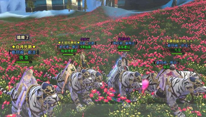 卧虎藏龙贰坐骑在哪抓2