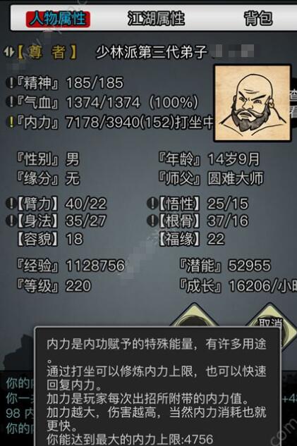 放置江湖神兵注入内力有什么用_放置江湖wiki攻略网