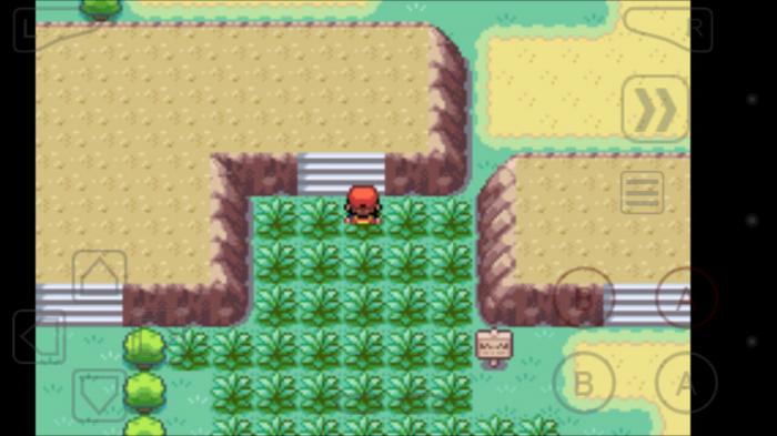 口袋妖怪火红勇吉拉在哪得到2