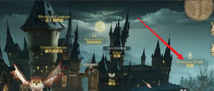 哈利波特魔法觉醒禁林怎么加血量3