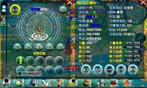 忘仙宠物怎么玩3