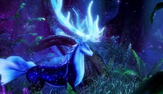 斗罗大陆魂兽森林在哪3