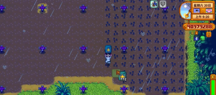 星露谷物语甜瓜的收益怎么样3