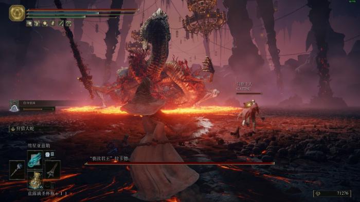 艾尔登法环五十级怎么玩_艾尔登法环什么类型