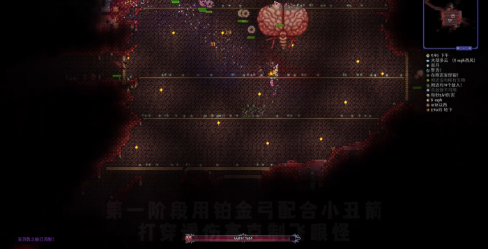 泰拉瑞亚克苏鲁之脑有哪些技能2