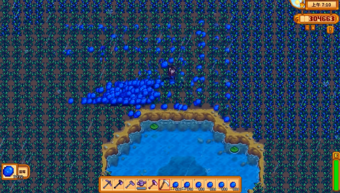 星露谷物语蓝莓怎么卖赚钱2