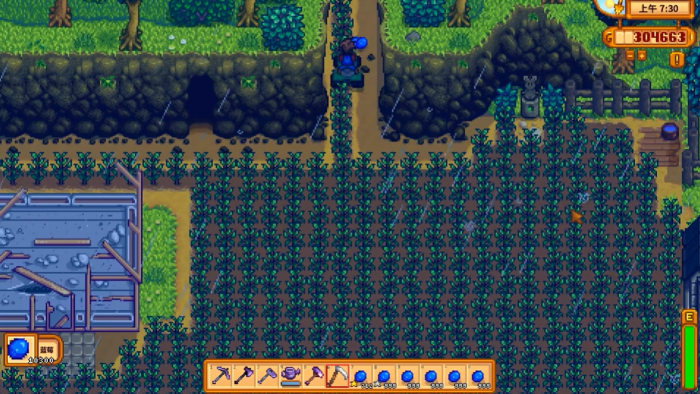 星露谷物语蓝莓怎么卖赚钱3