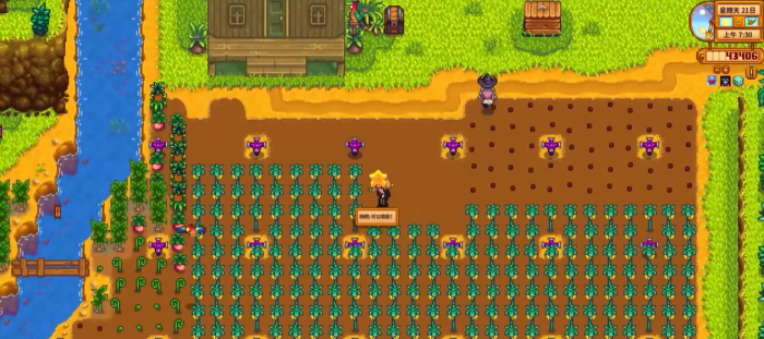 星露谷物语姜岛洒水器怎么摆3