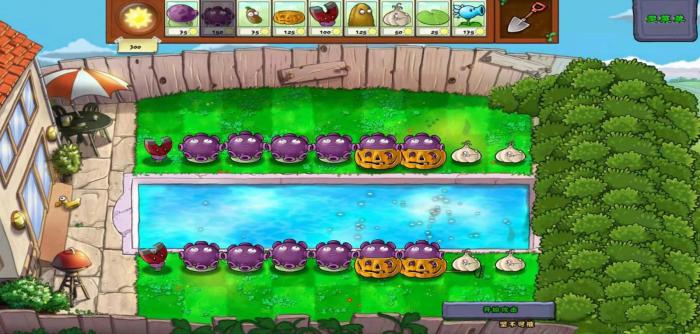 植物大战僵尸里面坚不可摧怎么过2