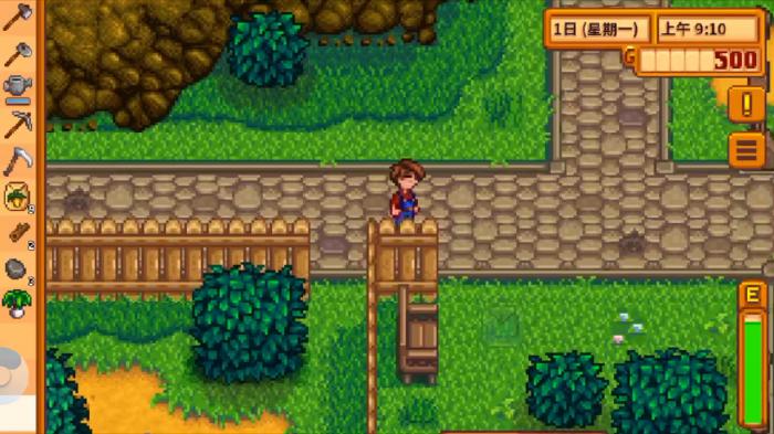 星露谷物语地面铺什么好看2