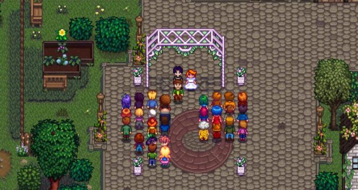 星露谷物语妻子有什么用_星露谷物语妻子能干什么