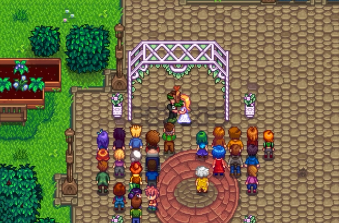 星露谷物语海莉生日怎么送东西3