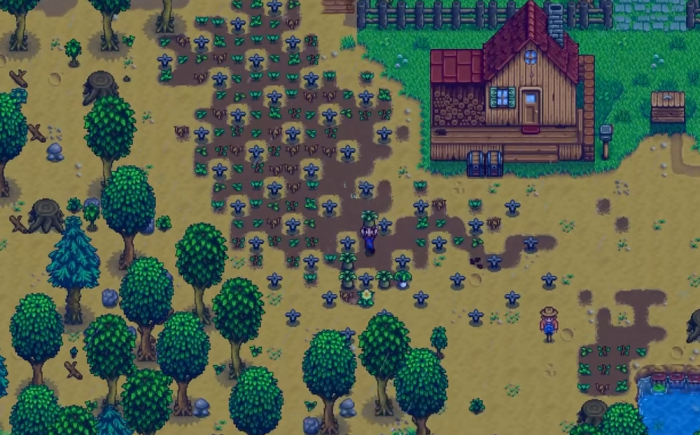 星露谷物语茶苗怎么赚钱3