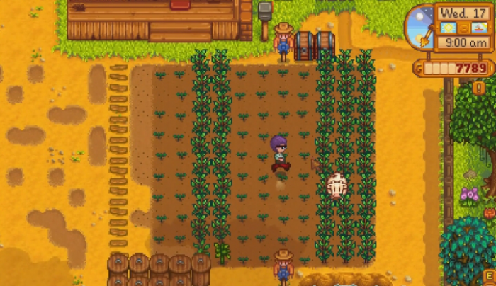 星露谷物语夏季种子怎么获得3