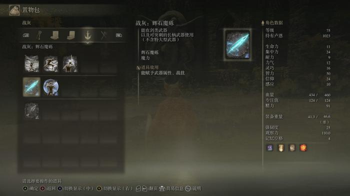 艾尔登法环法师怎么加点2502