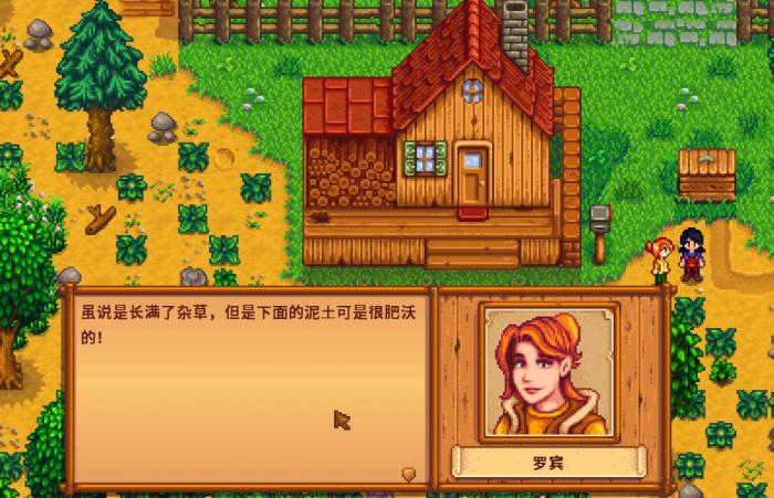 星露谷物语怎么变性别3