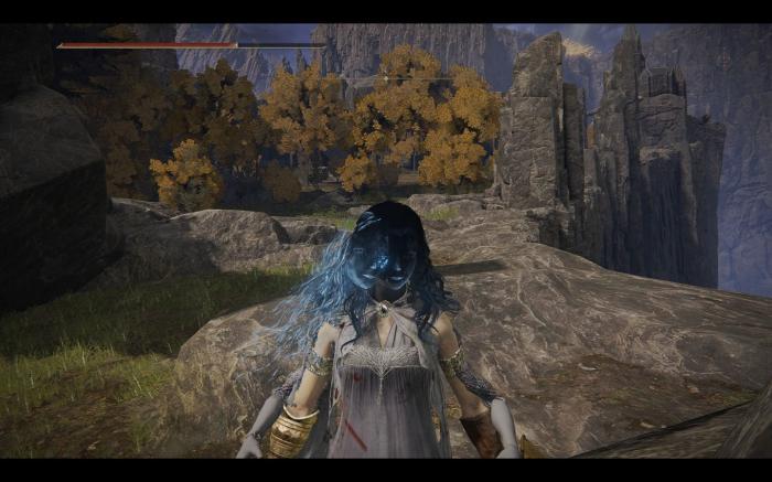 艾尔登法环用什么角色好玩1