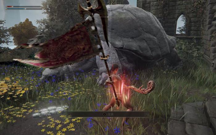 艾尔登法环乌龟老师给多少魂1