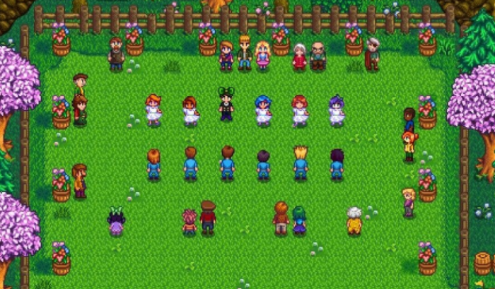 星露谷物语海莉行程在哪3